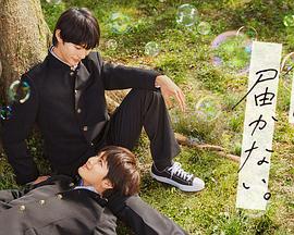 青浦区网站优化平台